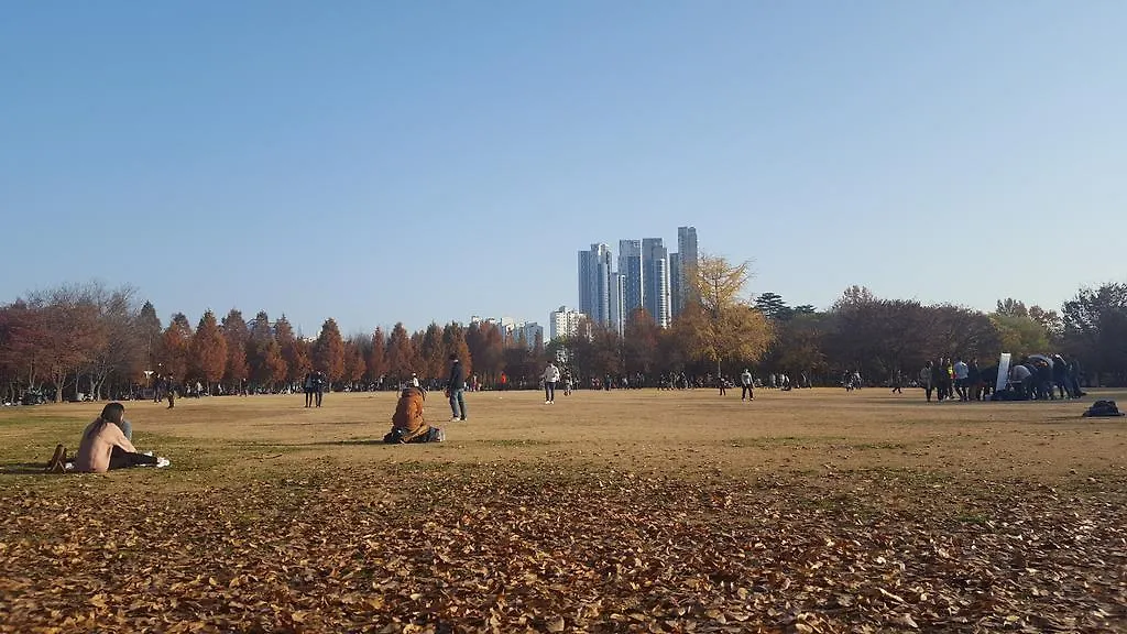 首爾 首尔森林旅馆旅舍 韩国