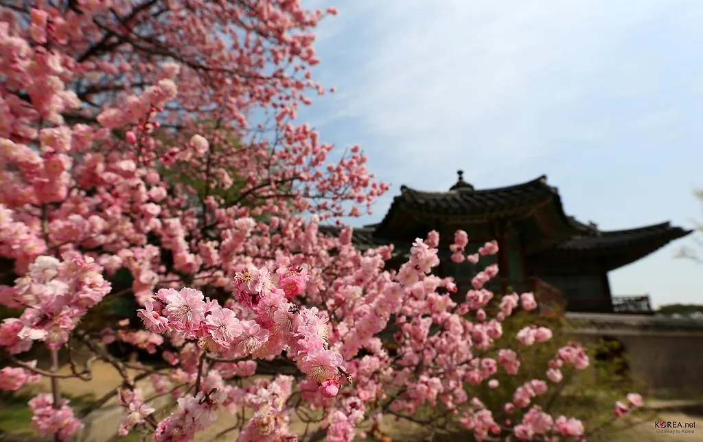 Seoul Forest Guesthouse 0*,