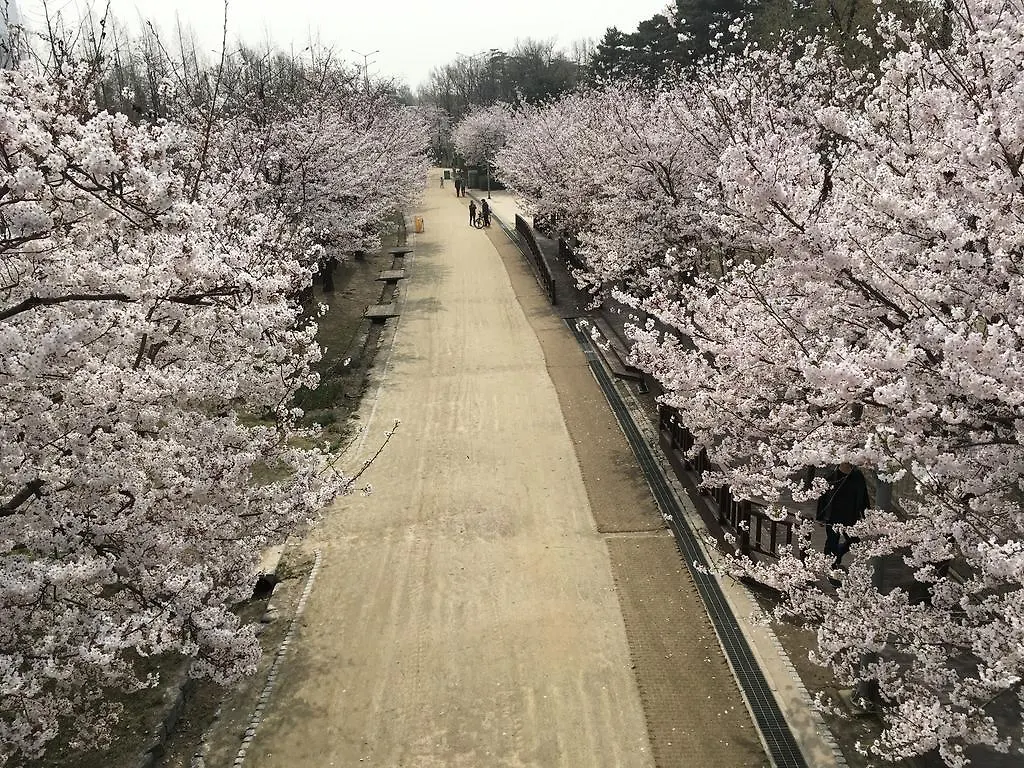 首爾 首尔森林旅馆旅舍 0*,